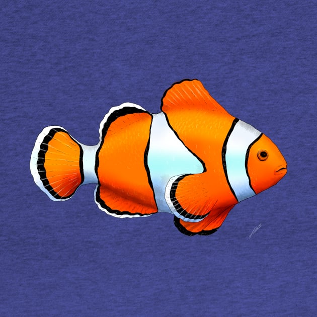 Clownfish by lucamendieta